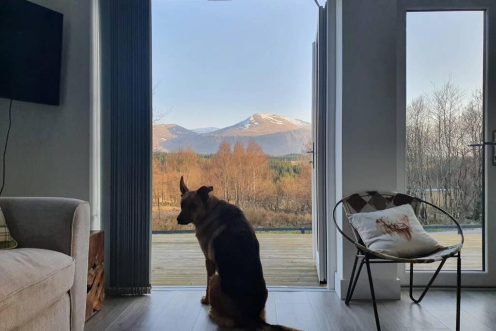 Ben Nevis Scotland Highlands, Camden House Luxury Home ฟอร์ตวิลเลียม ภายนอก รูปภาพ